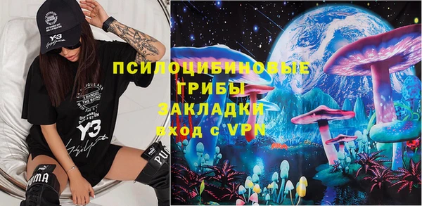мяу мяу мука Арсеньев